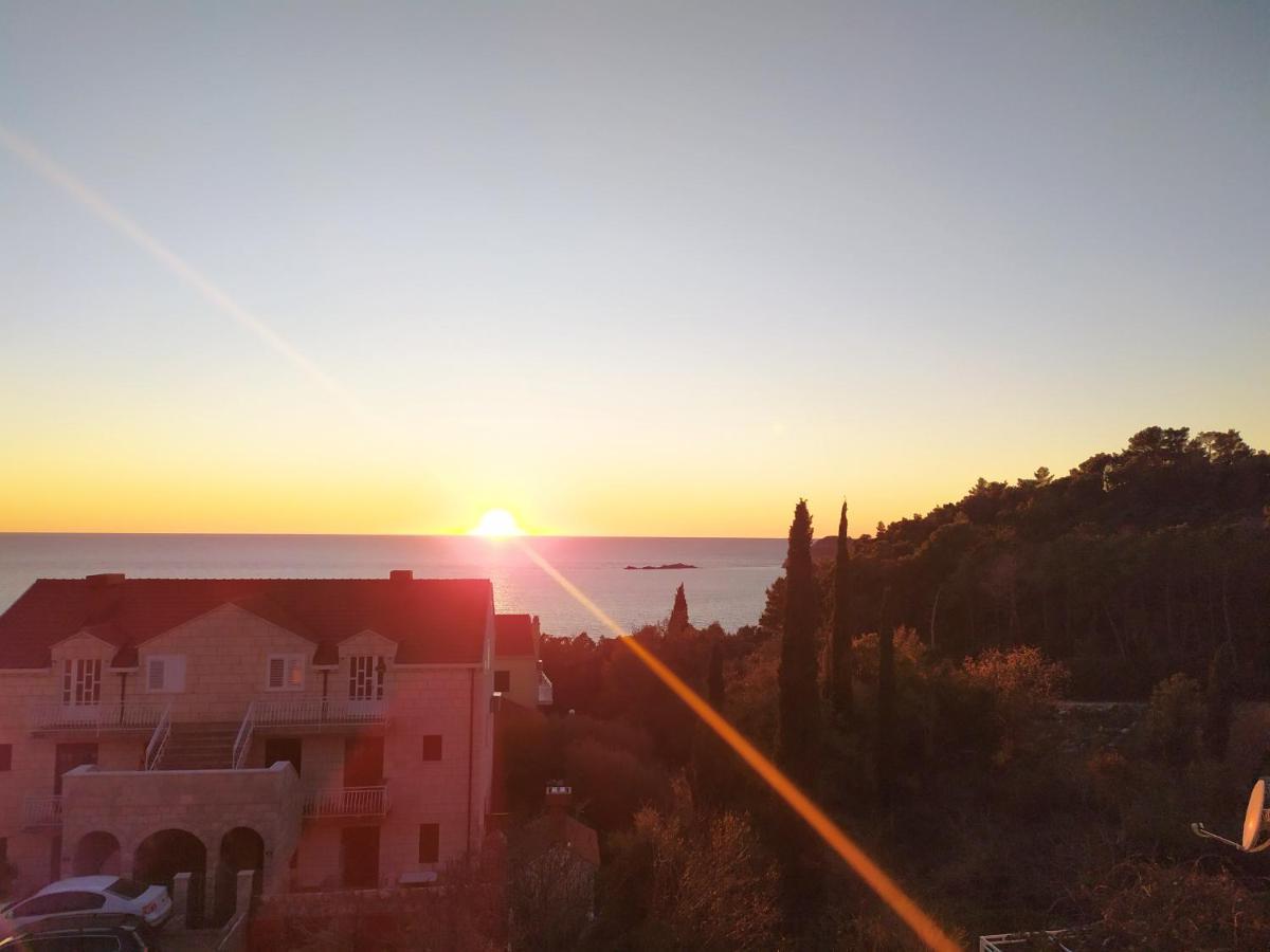 Honey Bee Cavtat Apartment Luaran gambar