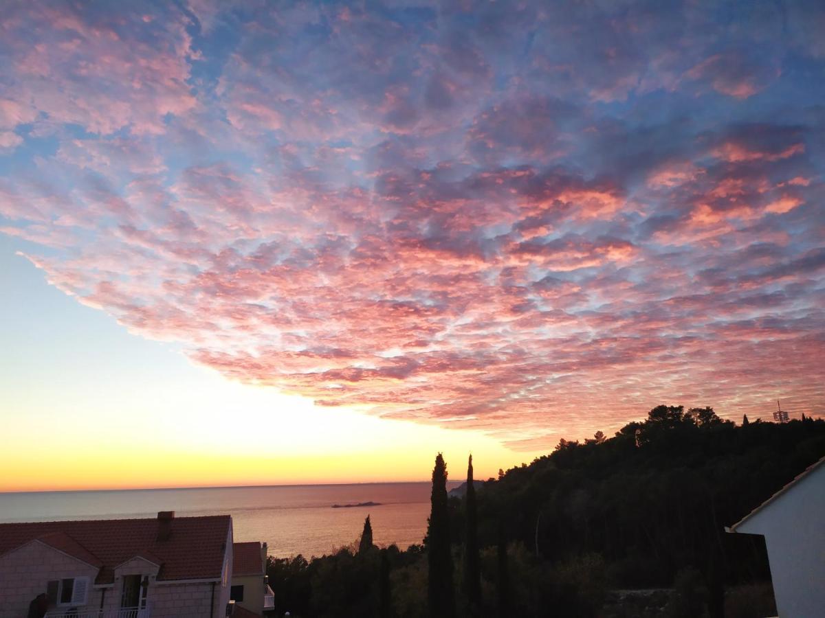 Honey Bee Cavtat Apartment Luaran gambar